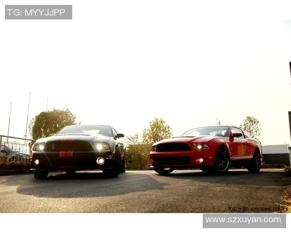 卡塔尔足球明星与男模的完美结合展现魅力与风采的精彩瞬间