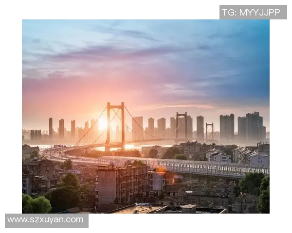 武汉羽毛球队奋勇拼搏的历程与荣耀时刻全景回顾