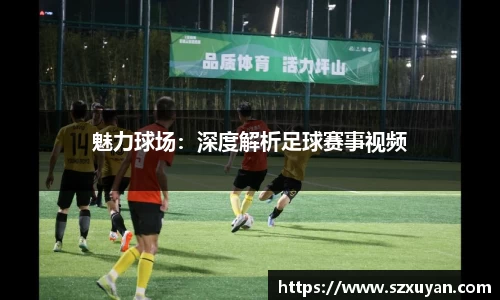 魅力球场：深度解析足球赛事视频